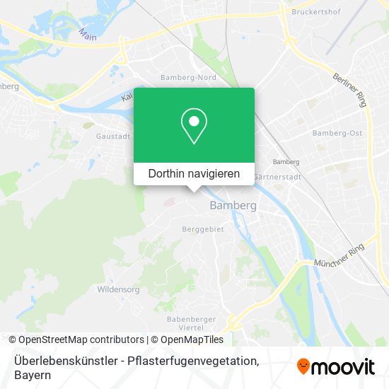 Überlebenskünstler - Pflasterfugenvegetation Karte