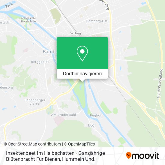 Insektenbeet Im Halbschatten - Ganzjährige Blütenpracht Für Bienen, Hummeln Und Schmetterlinge Karte
