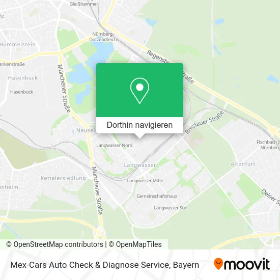 Mex-Cars Auto Check & Diagnose Service Karte