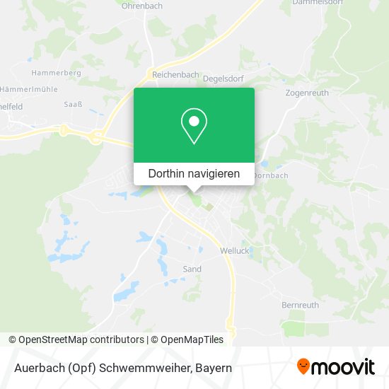 Auerbach (Opf) Schwemmweiher Karte