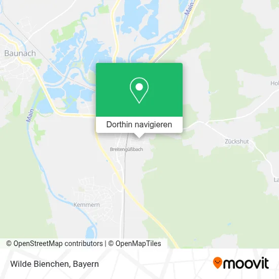 Wilde Bienchen Karte