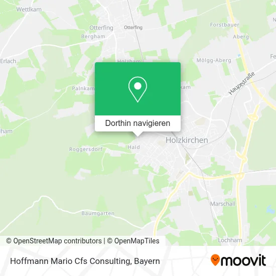 Hoffmann Mario Cfs Consulting Karte