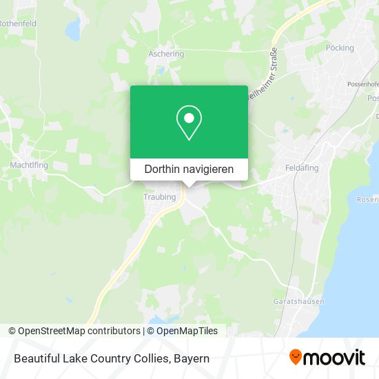 Beautiful Lake Country Collies Karte