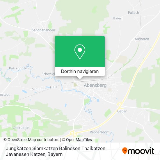 Jungkatzen Siamkatzen Balinesen Thaikatzen Javanesen Katzen Karte