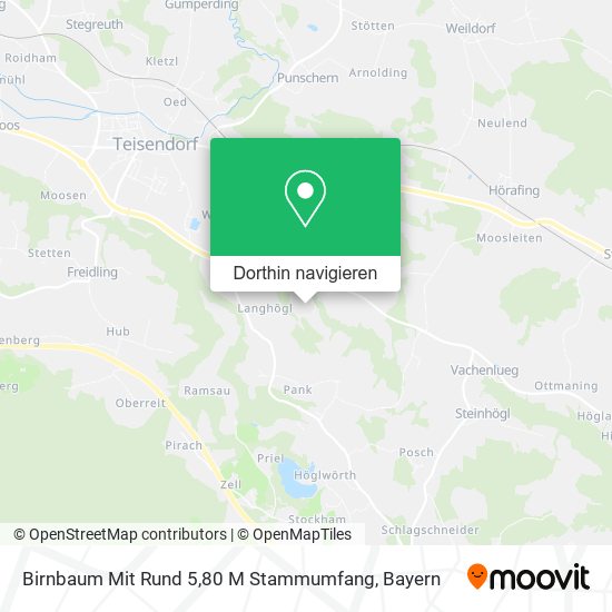 Birnbaum Mit Rund 5,80 M Stammumfang Karte