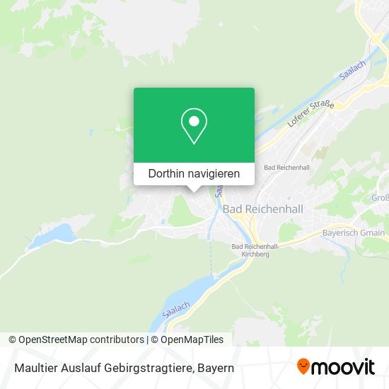 Maultier Auslauf Gebirgstragtiere Karte