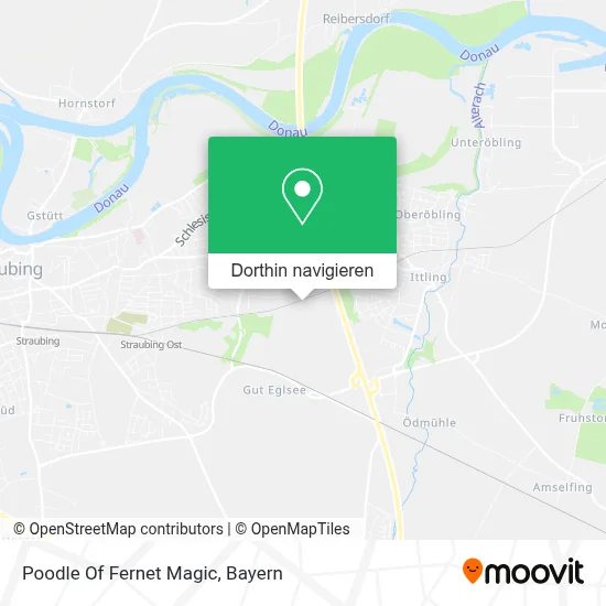 Poodle Of Fernet Magic Karte