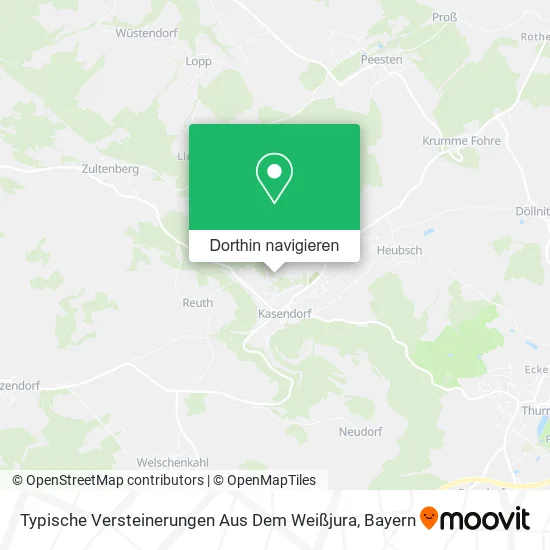 Typische Versteinerungen Aus Dem Weißjura Karte