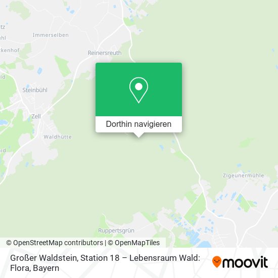 Großer Waldstein, Station 18 – Lebensraum Wald: Flora Karte