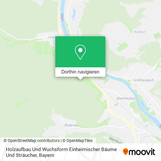 Holzaufbau Und Wuchsform Einheimischer Bäume Und Sträucher Karte