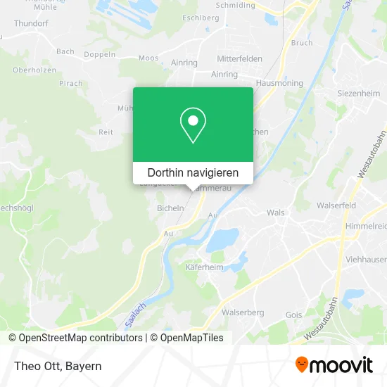 Theo Ott Karte