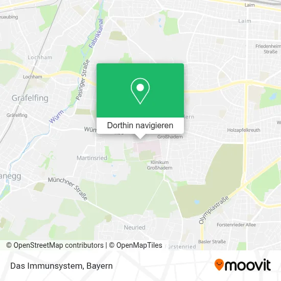 Das Immunsystem Karte