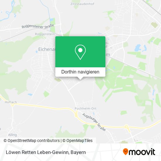 Löwen Retten Leben-Gewinn Karte
