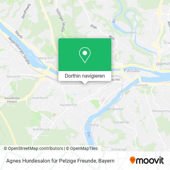 Agnes Hundesalon für Pelzige Freunde Karte