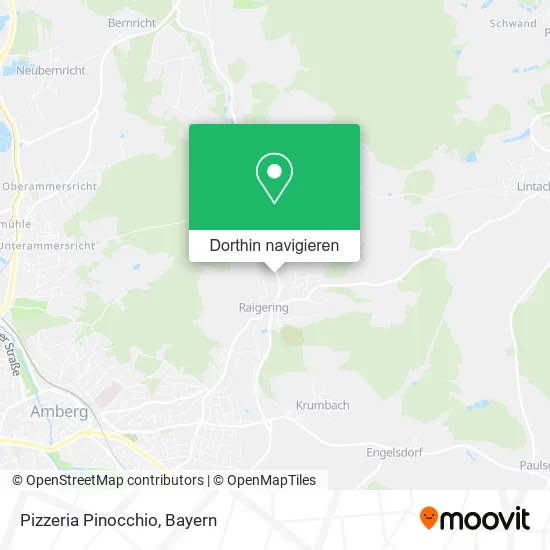 Pizzeria Pinocchio Karte