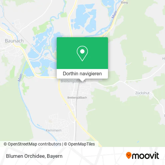 Blumen Orchidee Karte