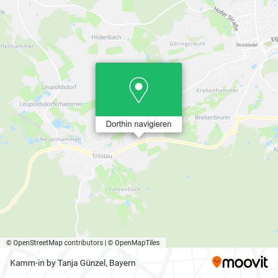 Kamm-in by Tanja Günzel Karte