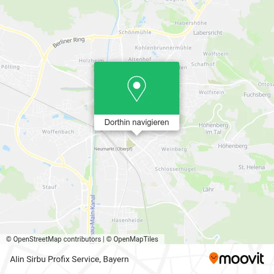 Alin Sirbu Profix Service Karte