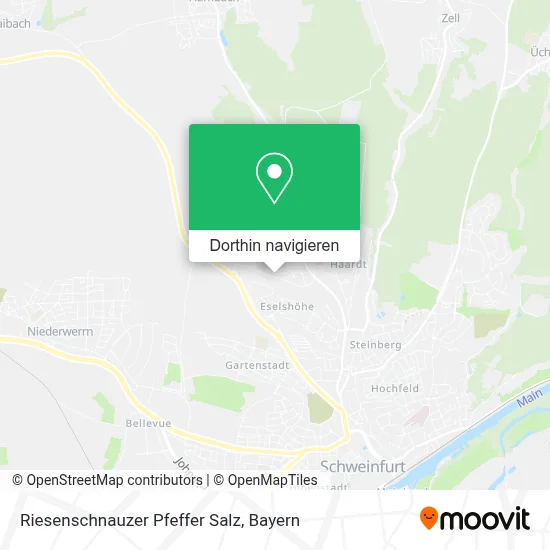 Riesenschnauzer Pfeffer Salz Karte