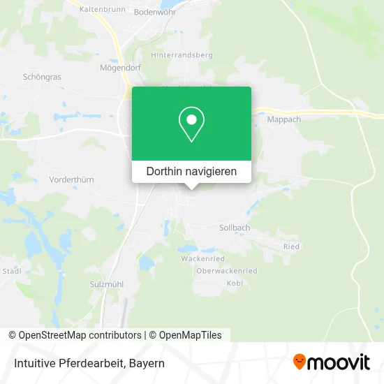 Intuitive Pferdearbeit Karte