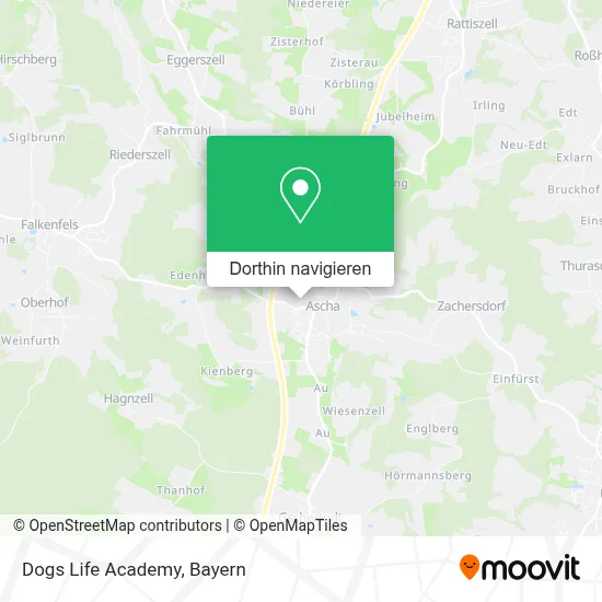 Dogs Life Academy Karte