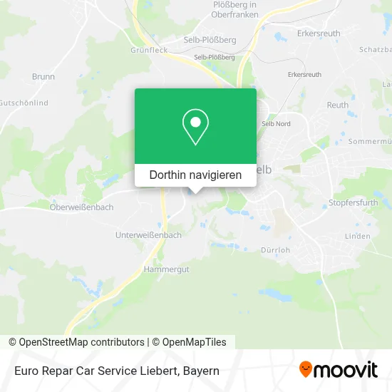 Euro Repar Car Service Liebert Karte