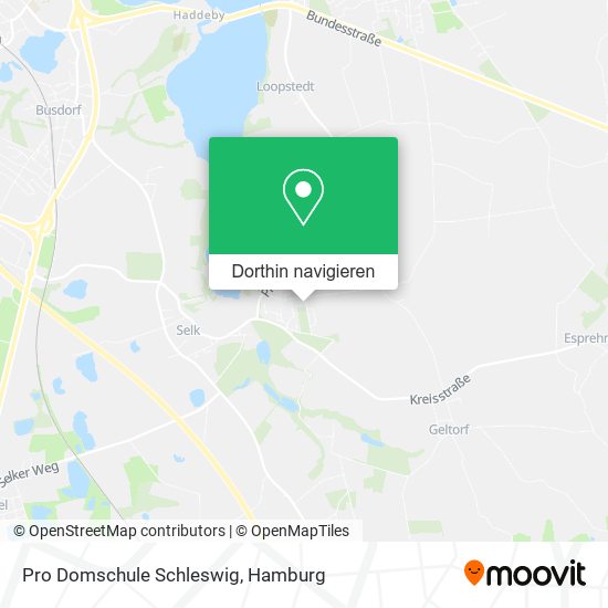 Pro Domschule Schleswig Karte