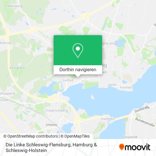 Die Linke Schleswig-Flensburg Karte