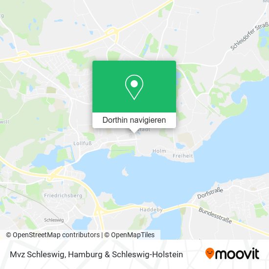Mvz Schleswig Karte