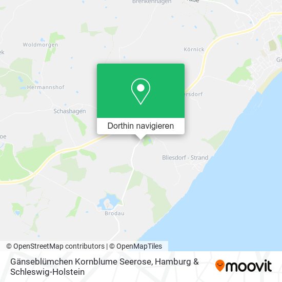 Gänseblümchen Kornblume Seerose Karte