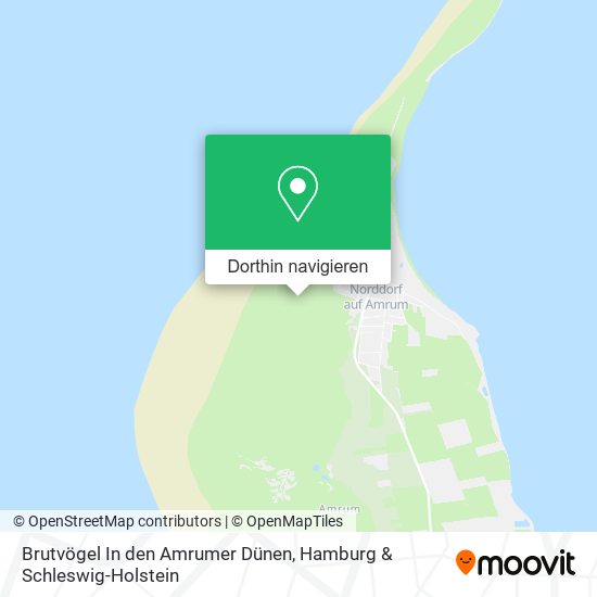 Brutvögel In den Amrumer Dünen Karte