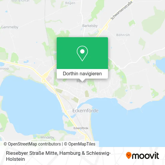 Riesebyer Straße Mitte Karte
