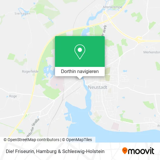 Die! Friseurin Karte
