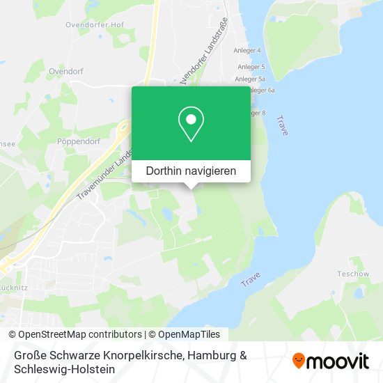 Große Schwarze Knorpelkirsche Karte
