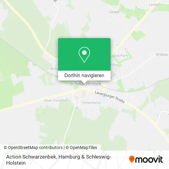 Action Schwarzenbek Karte
