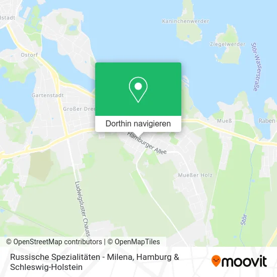 Russische Spezialitäten - Milena Karte