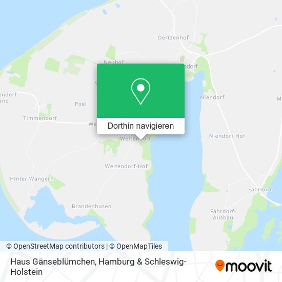 Haus Gänseblümchen Karte