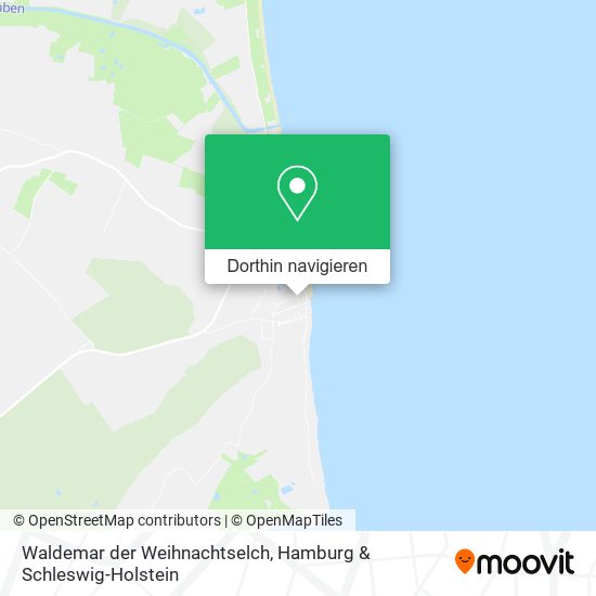 Waldemar der Weihnachtselch Karte