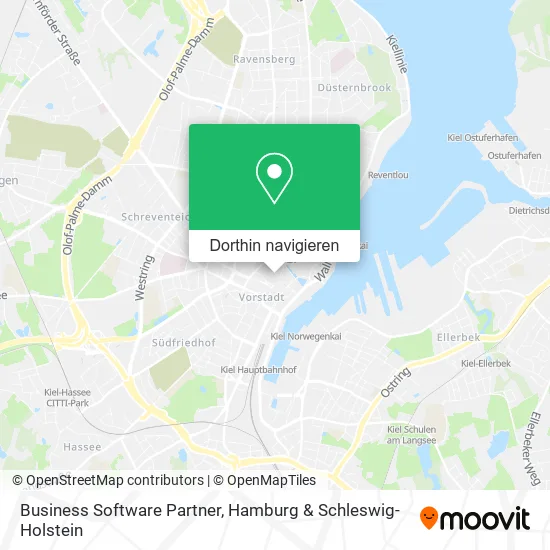 Business Software Partner Karte