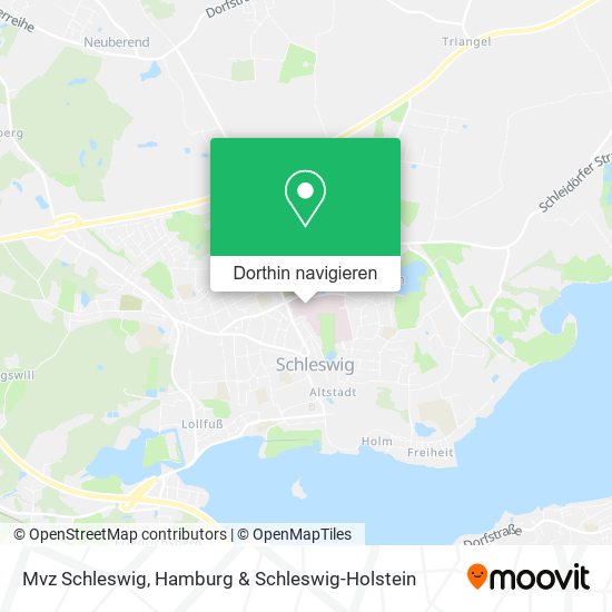 Mvz Schleswig Karte