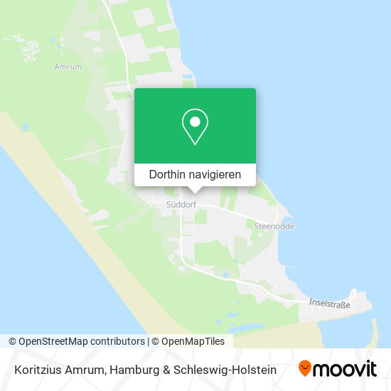 Koritzius Amrum Karte