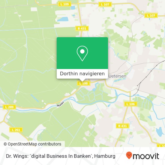Dr. Wings: ´digital Business In Banken´ Karte