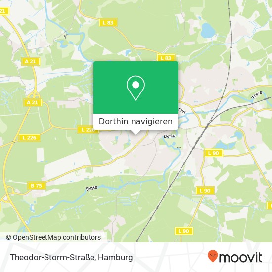 Theodor-Storm-Straße Karte