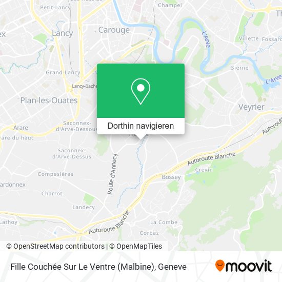 Fille Couchée Sur Le Ventre (Malbine) Karte