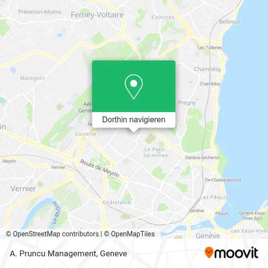 A. Pruncu Management Karte