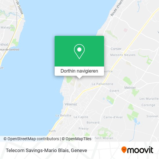 Telecom Savings-Mario Blais Karte