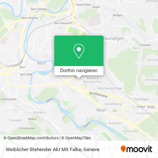 Weiblicher Stehender Akt Mit Falke Karte
