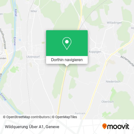 Wildquerung Über A1 Karte