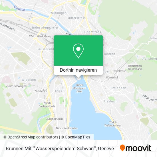 Brunnen Mit ""Wasserspeiendem Schwan"" Karte