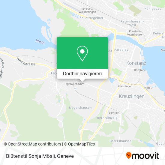 Blütenstil Sonja Mösli Karte